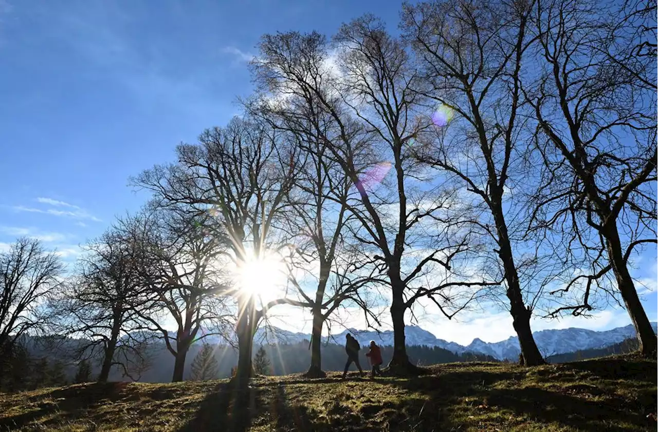 Hochdruckgebiet sorgt für stabiles Wetter mit Sonne oder Nebel