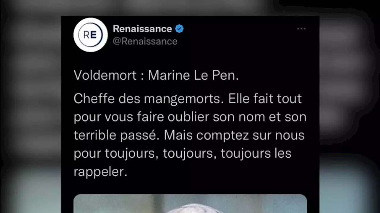 Renaissance supprime des tweets comparant des députés à des personnages de Harry Potter