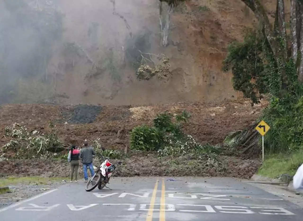 La próxima semana se reabre paso de tractomulas por vía alterna en Rosas, Cauca