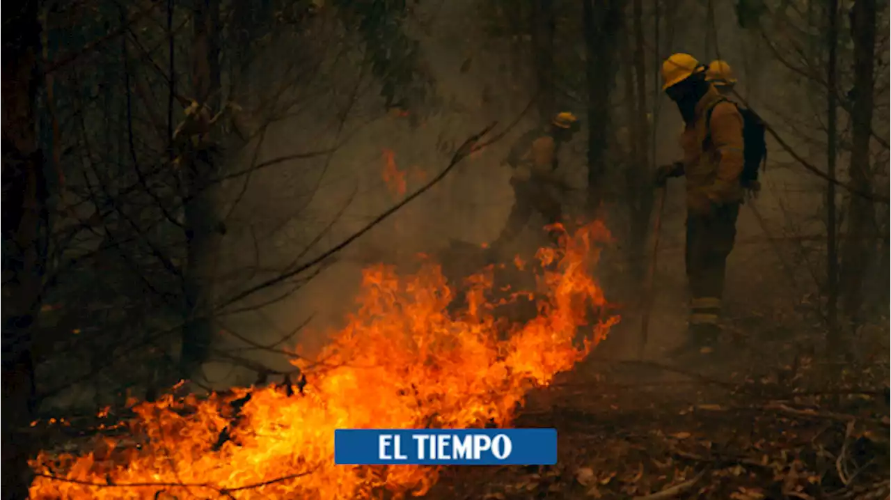 Chile prevé que extinción total de incendios no se logre hasta marzo