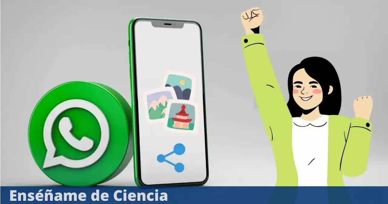 Nueva función de WhatsApp para compartir hasta 100 imágenes y vídeos en un solo mensaje