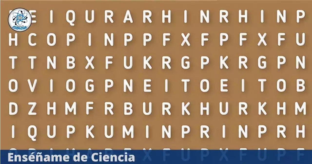 Supera el reto visual que muy pocos lograron resolver: Descubre donde está la palabra “CIENCIA”