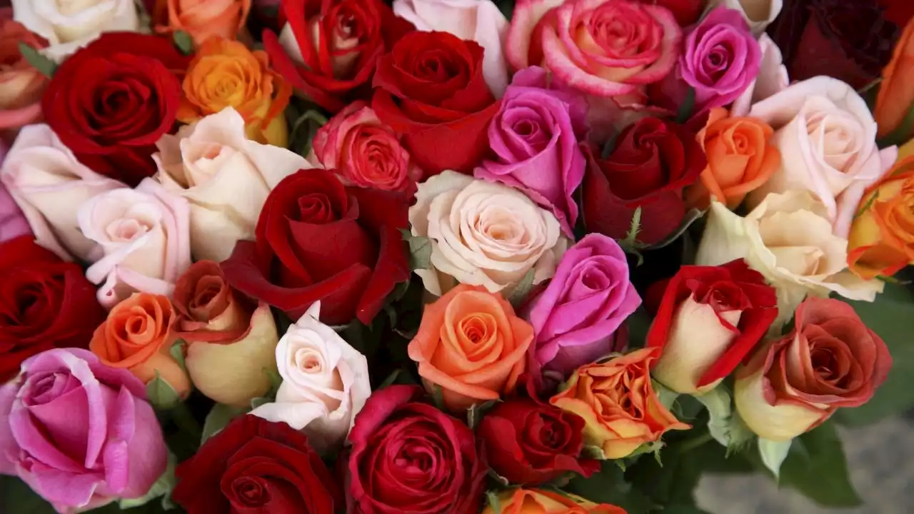 Save On Valentine's Day Flowers With Our Exclusive UrbanStems Code