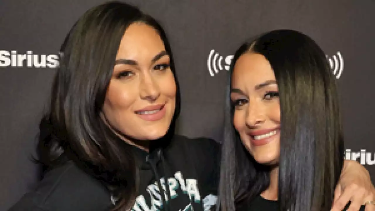 Why Brie Bella Thought Nikki and Artem's Wedding Would Not Happen