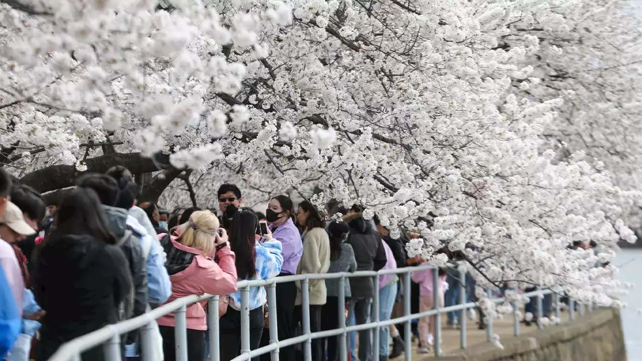 Plan on visiting DC? Don’t wear this coat, it’s like a target for thieves