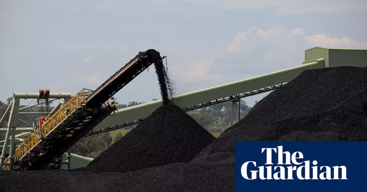 Labor’s unlimited use of carbon offsets could lead to rise in emissions, report says