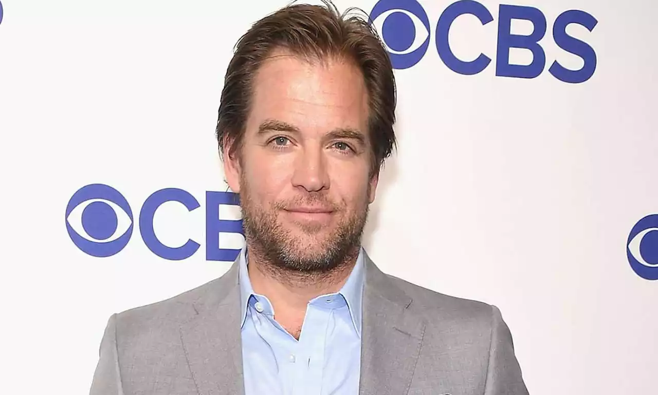 Michael Weatherly's fans in disbelief over rare photo of his son and daughter