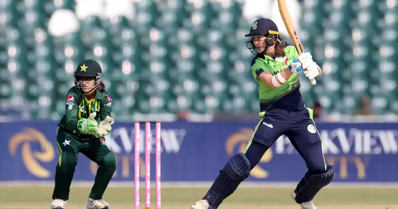 ‘We want to take it on’ - Prendergast and Ireland embracing expectation ahead of T20 World Cup