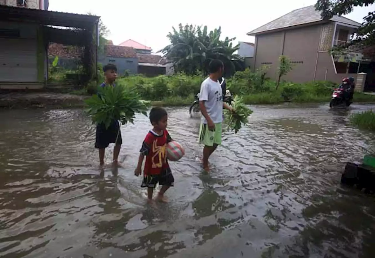 Hujan Deras Bikin Banjir-Longsor di Probolinggo, Ada Sekolah yang Diliburkan