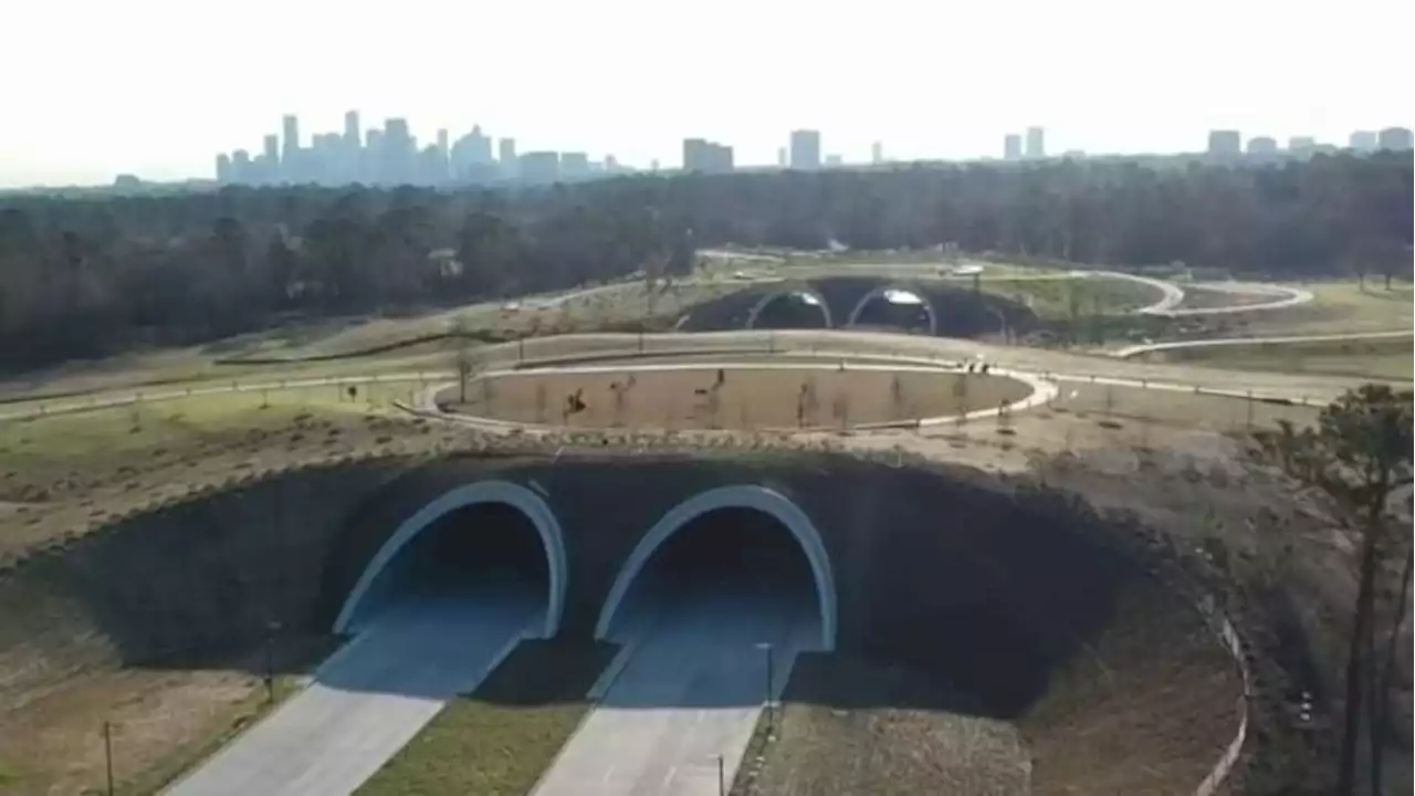 ‘Biggest picnic in Texas’: Memorial Park Land Bridge and Prairie set to open Saturday