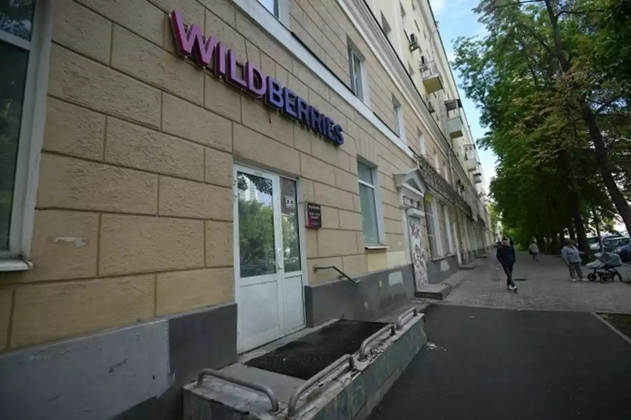 Wildberries сделает для покупателей платными пакеты в пунктах выдачи заказов с 13 февраля 2023 года