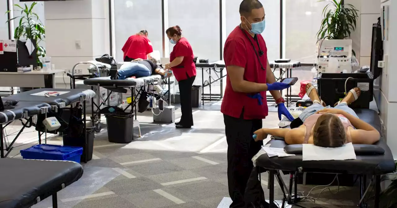 Opinion: Will new blood donation rules finally stop stigmatizing gay men?