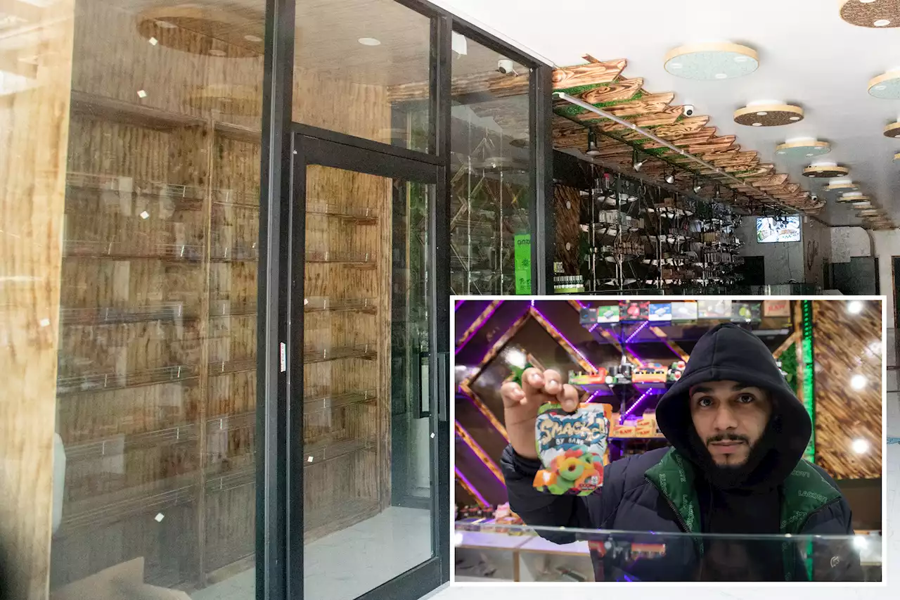 Illegal marijuana store prospers across the street from City Hall