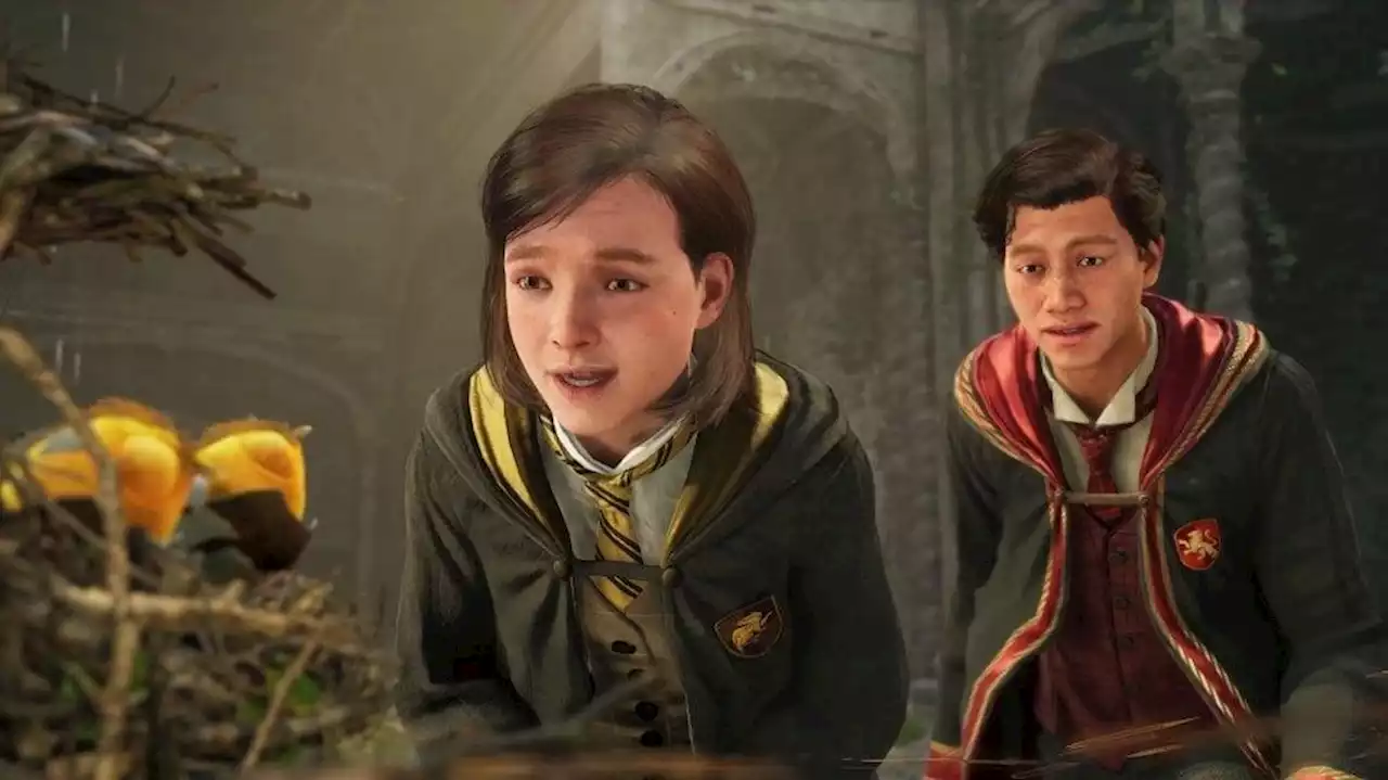 Hogwarts Legacy: Spinnenphobie-Mod erscheint in letzter Minute