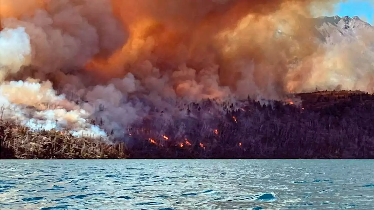 Incendios en Chubut: bomberos luchan contra los cuatro focos que afectan a la provincia patagónica