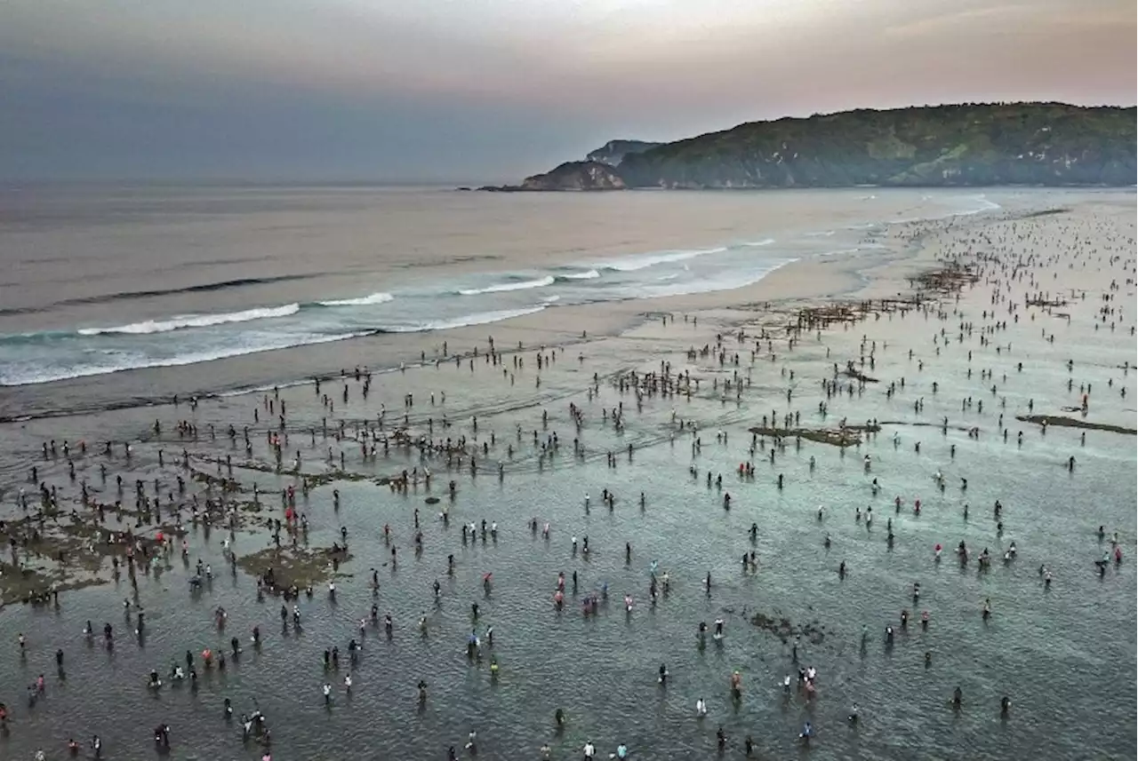 Ribuan Warga Ikut Puncak Festival Bau Nyale di Pantai Seger Mandalika |Republika Online