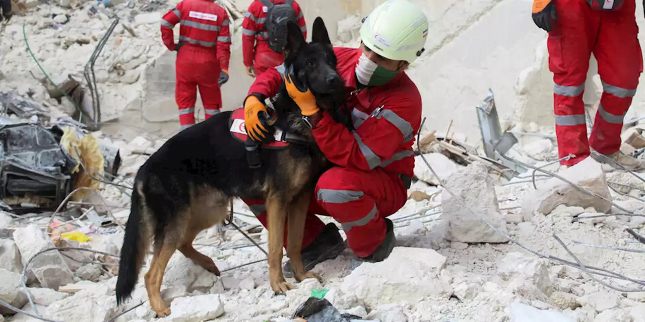 Erdbeben in Syrien und in der Türkei: Helfer unterbrechen Einsatz