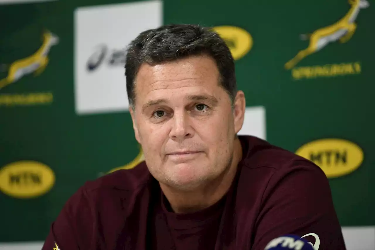 LISTEN: Rassie Erasmus is back on Twitter — having a go at Nick Mallett | The Citizen