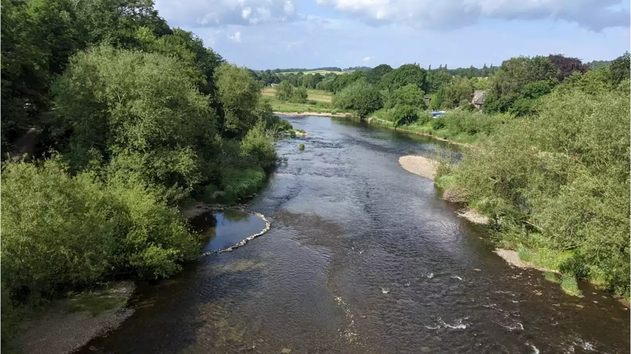 The sewage problem in Britain's rivers explained, and its impact on the environment