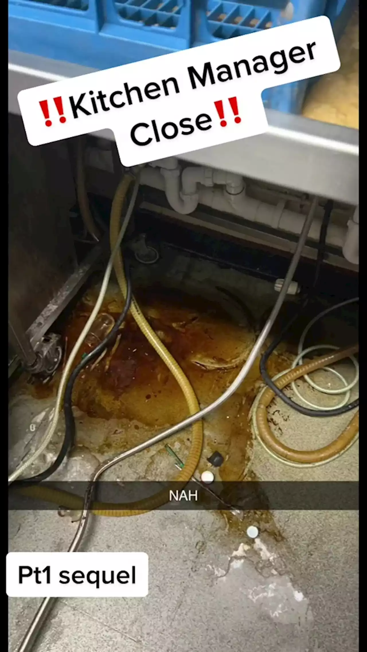 Inside dirty Wetherspoons kitchen with mouldy cheese & filthy microwaves