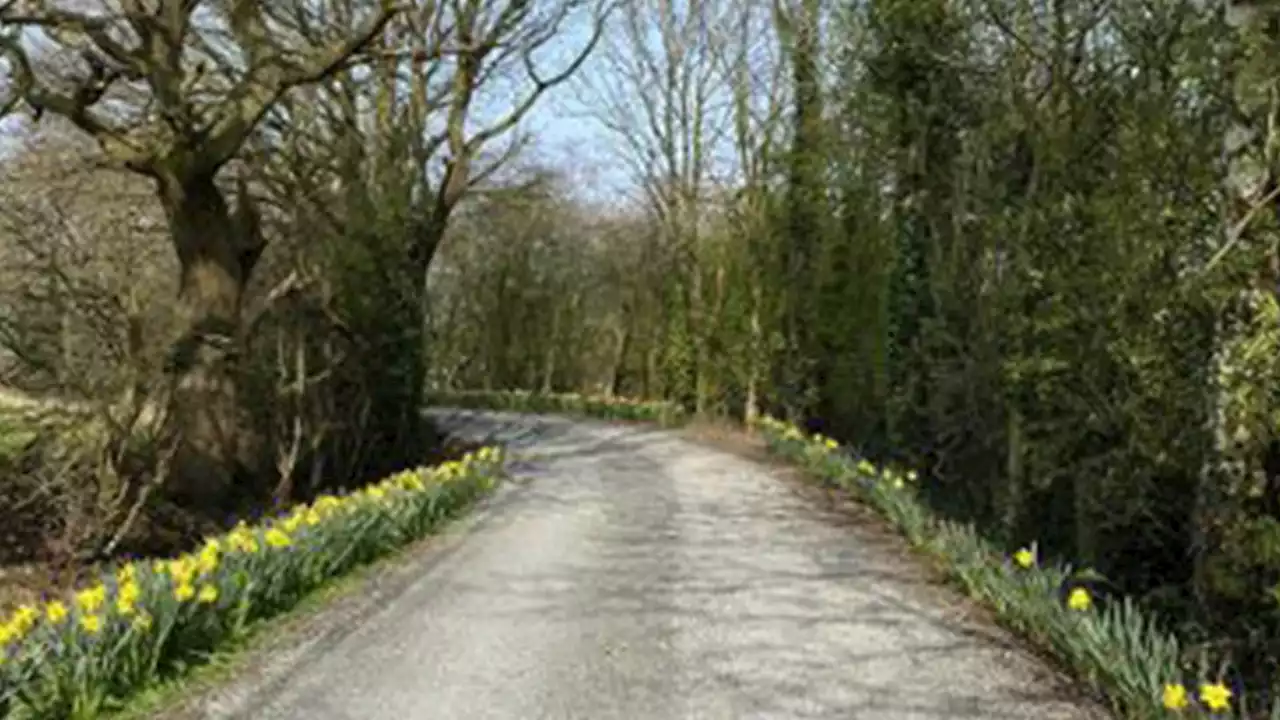 Urgent police appeal as woman is found dead in park from serious injuries