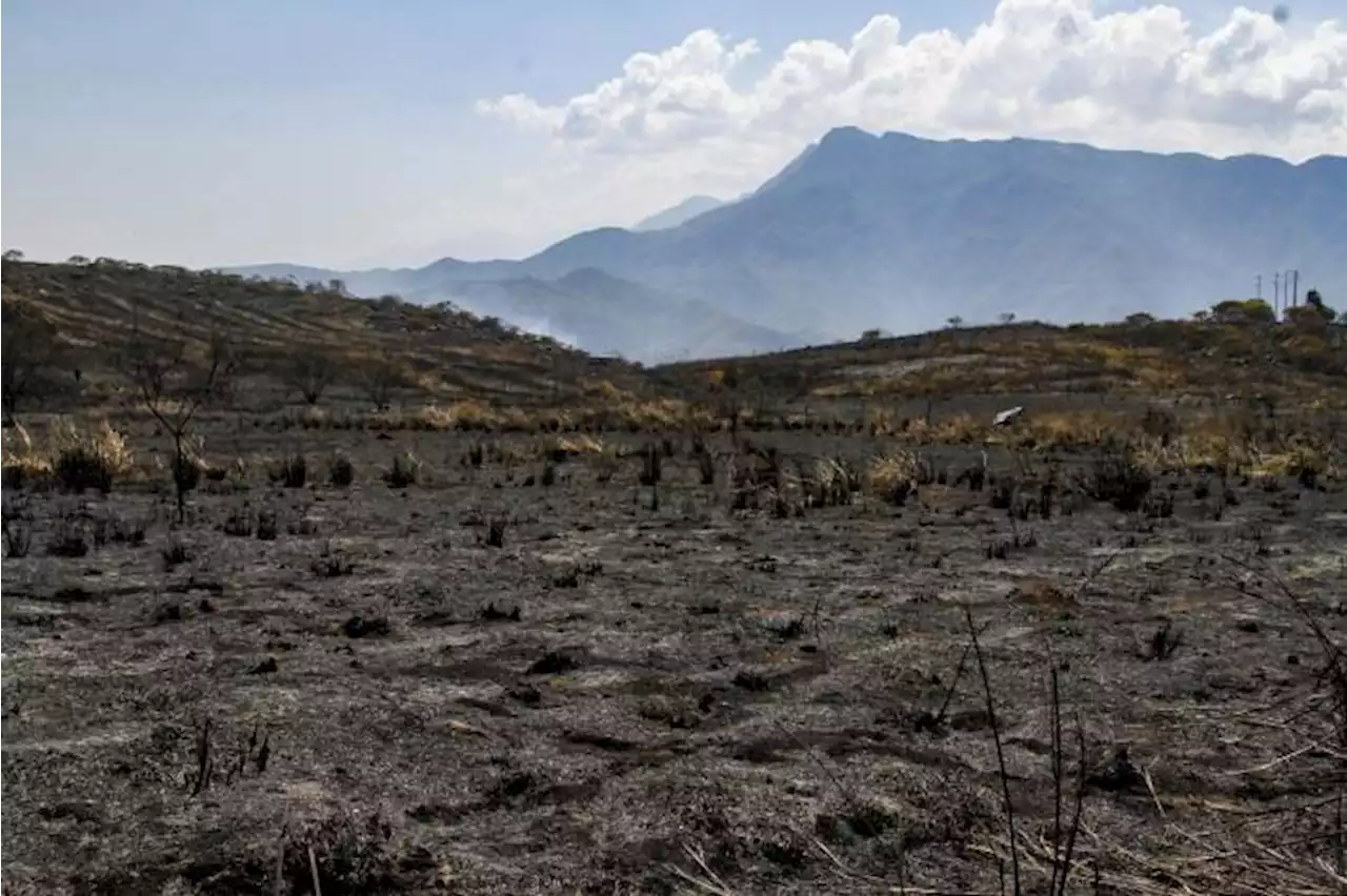 ¿Cómo fue controlado el voraz incendio forestal de Girón?