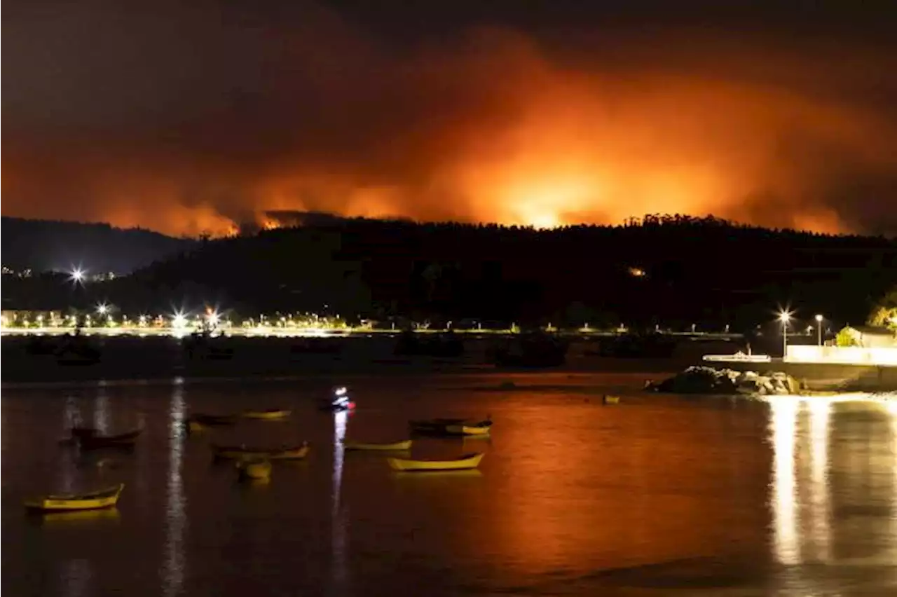 Damnificados por fuegos del sur de Chile: “Se perdió todo, fue un infierno&#034;