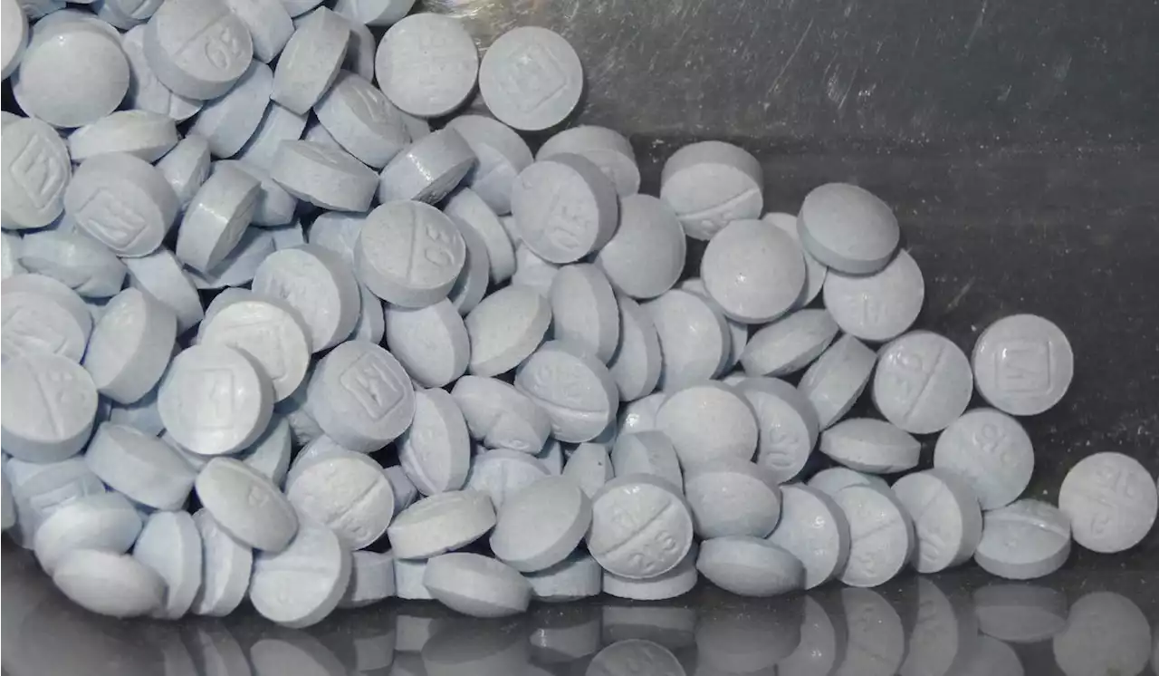 Customs and Border Protection officials seize fentanyl pills at Arizona-Mexico border