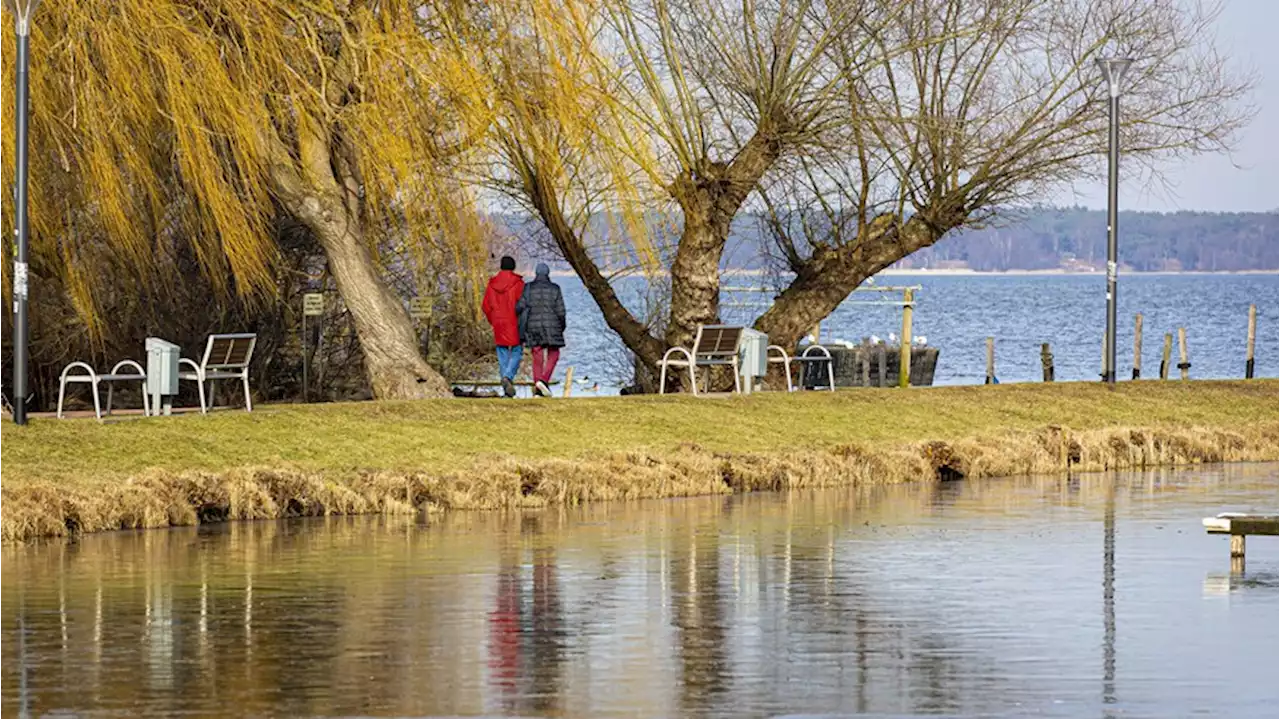 Wetter in Deutschland: Frühlingsstart wird 'extrem warm'