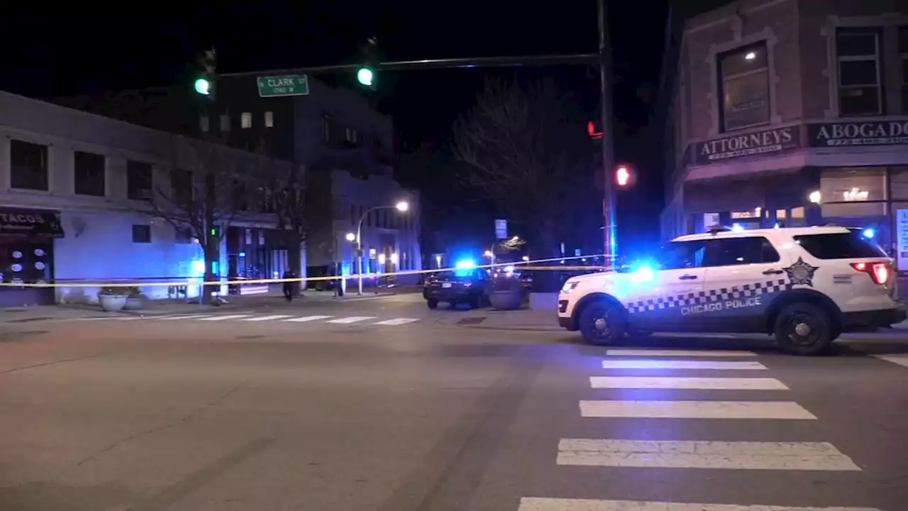 Chicago shooting: Man fatally shot in Rogers Park, police say