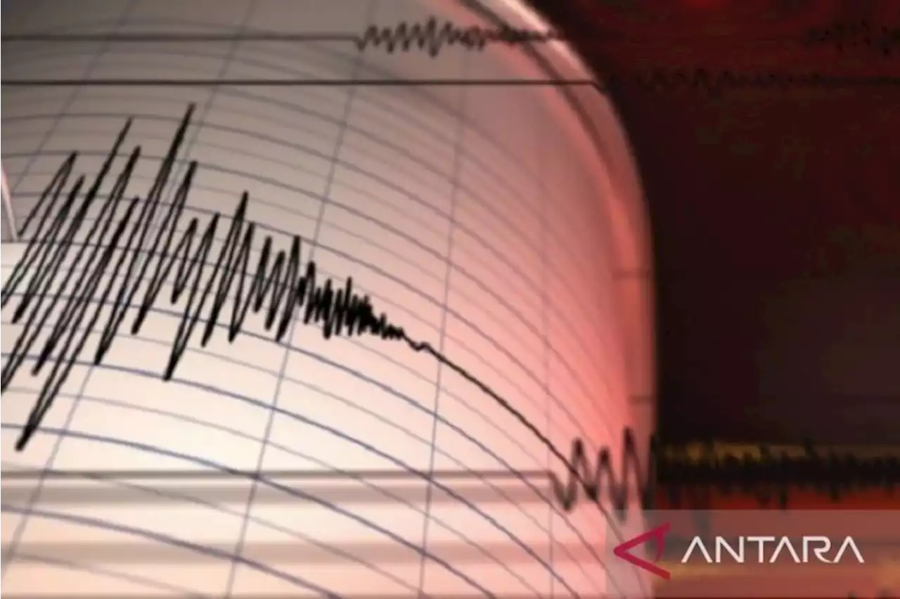 Gempa magnitudo 5,3 guncang Ransiki Papua Barat