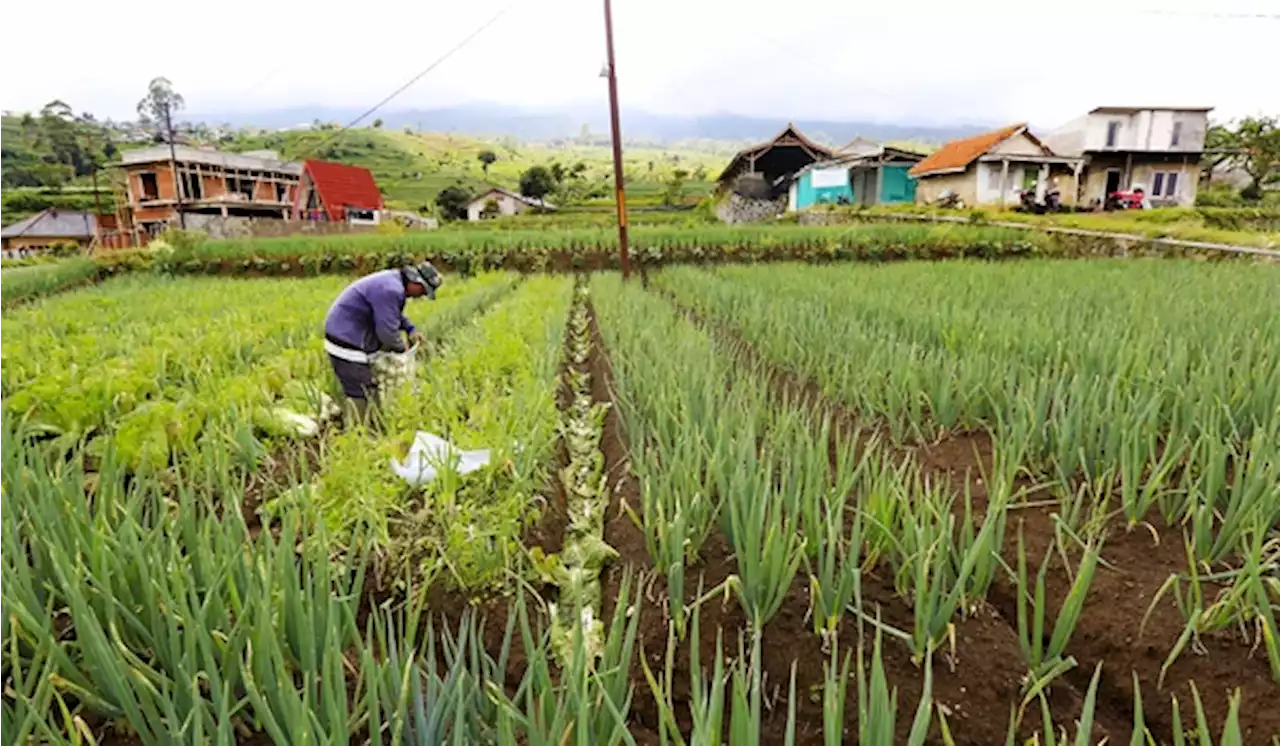 Jamkrindo Targetkan Penjaminan Naik 15% Capai Rp 360 Triliun