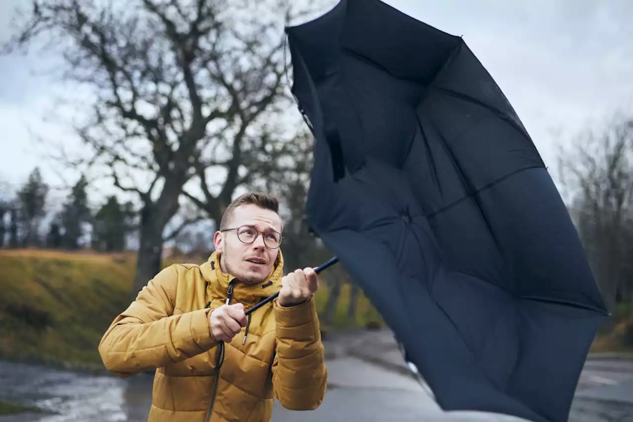 Alert issued for 'strong wind event' in Metro Vancouver