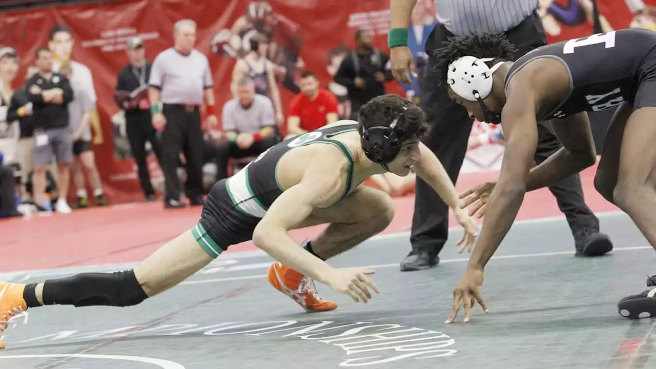 Dublin Coffman, Olentangy Liberty boys wrestling teams finish in top five at state duals