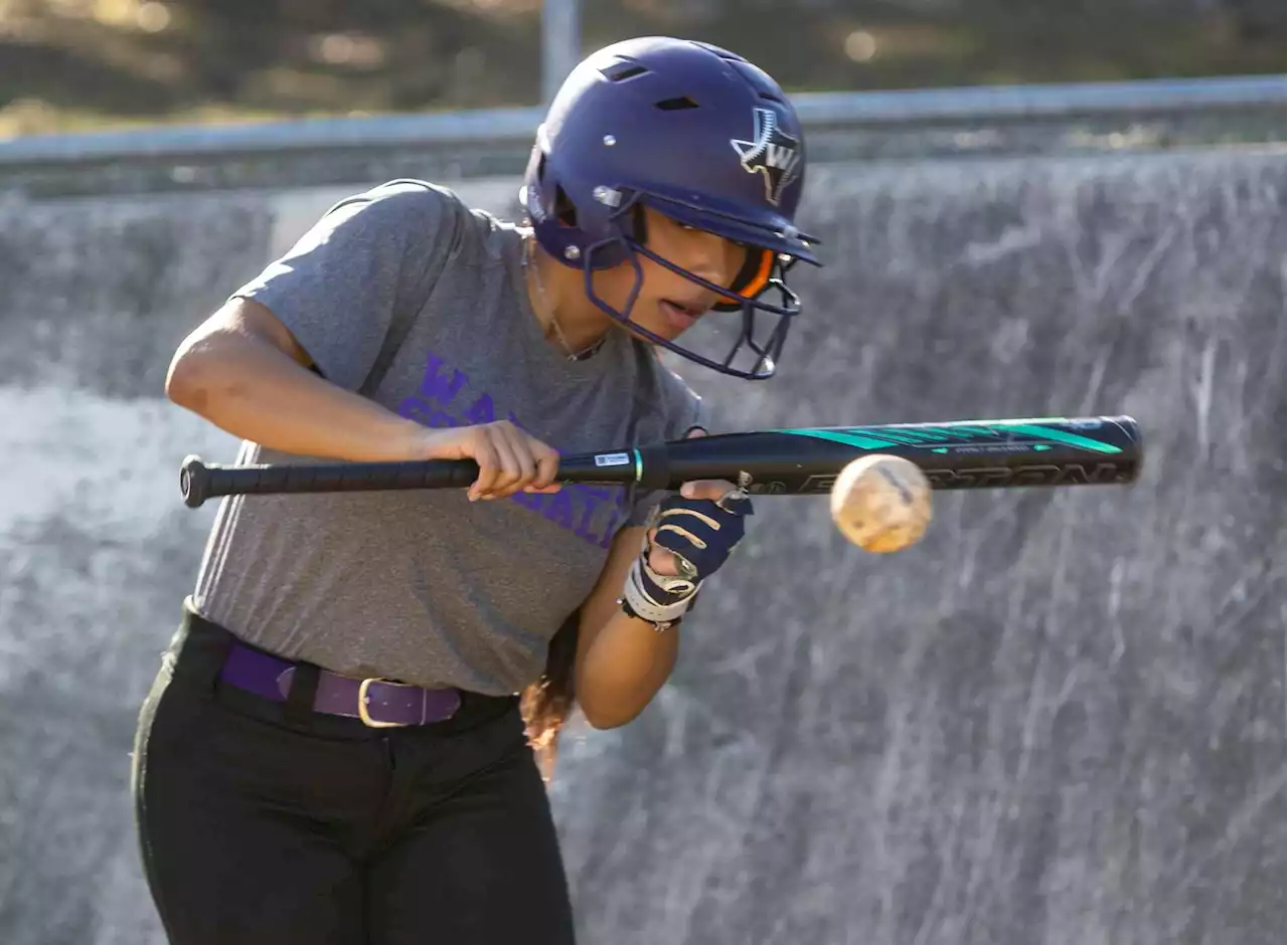 Gonzales hopes to lead Warren to softball playoffs