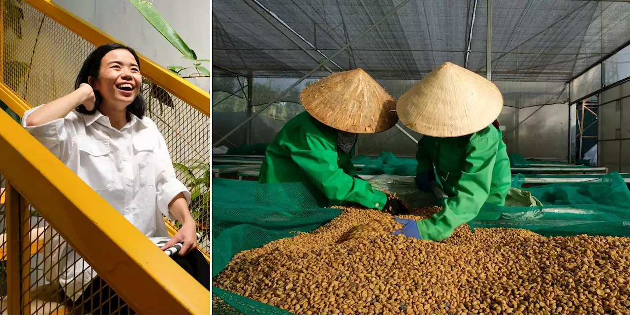 Så ska Vietnam göra utskällda kaffebönan trendig