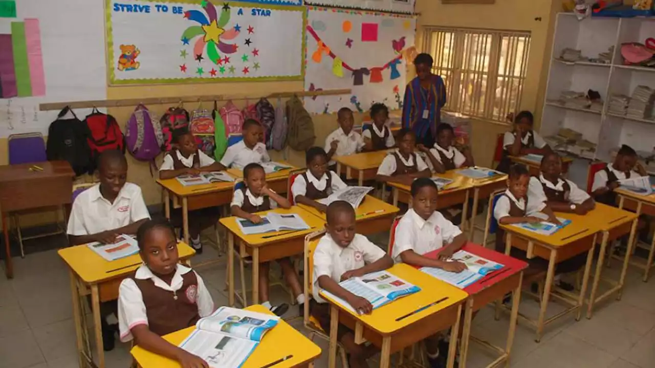 Maximising gains of high-quality early care, education | The Guardian Nigeria News - Nigeria and World News