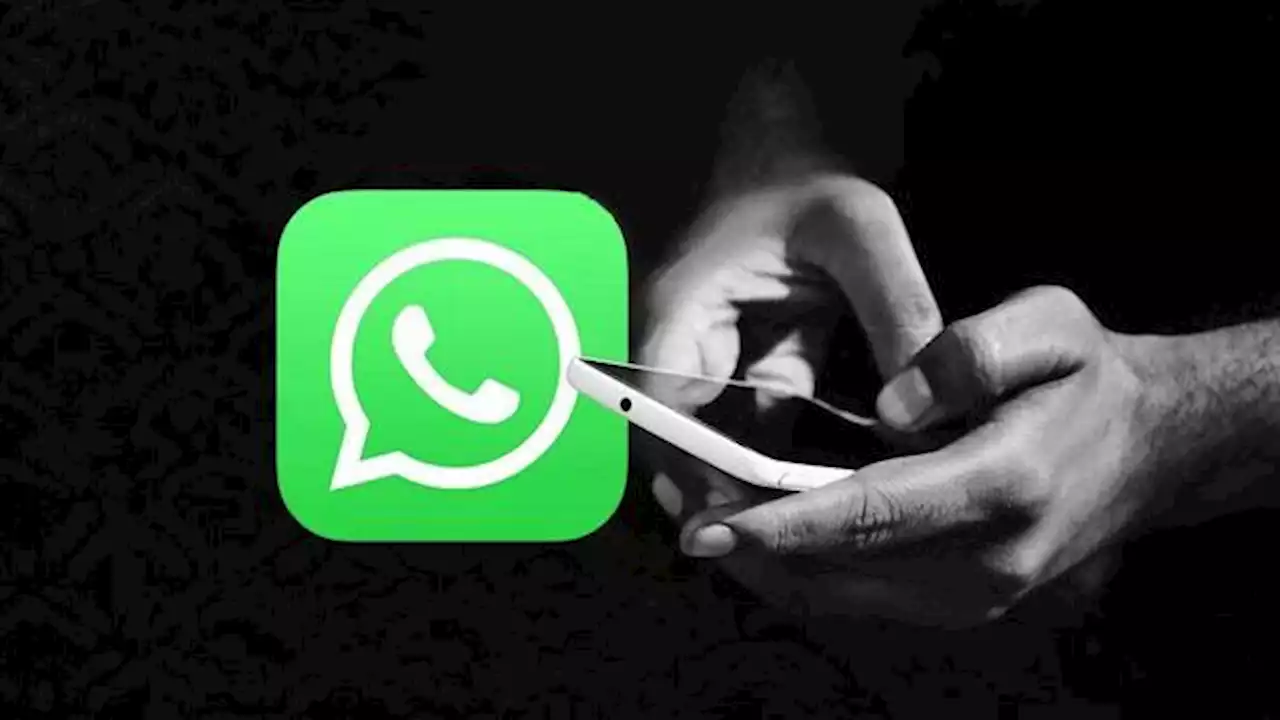 Cómo usar WhatsApp sin conexión a Internet