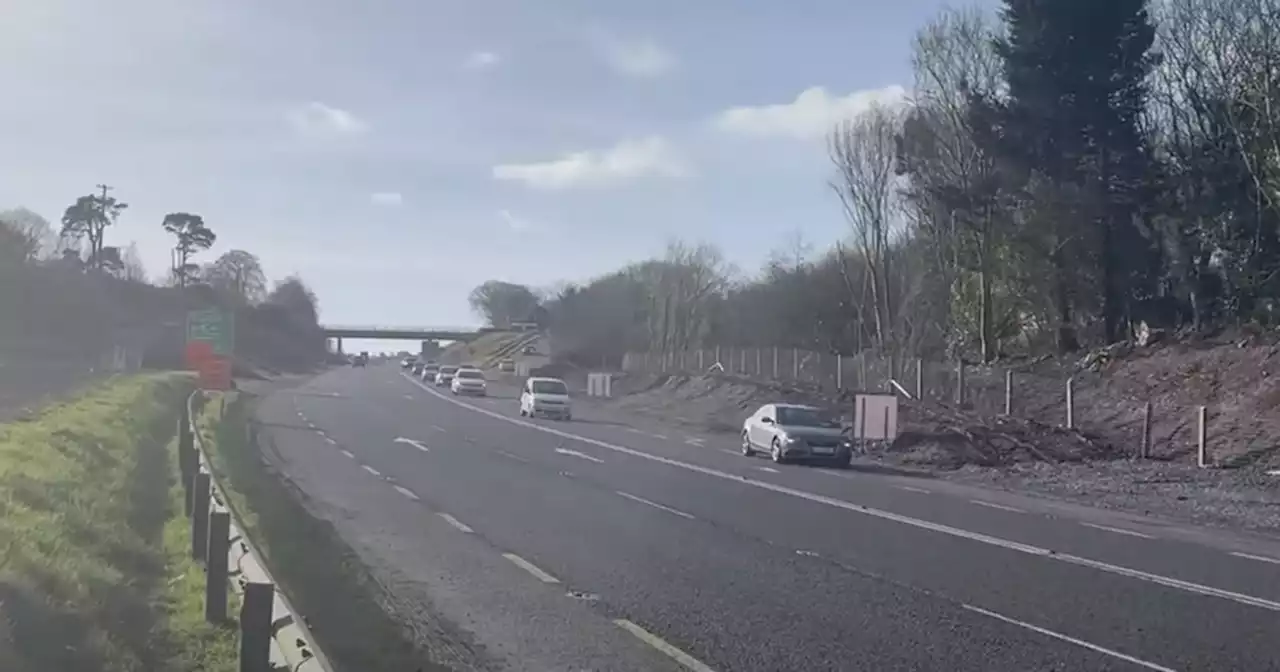 Cork primary school kids made to cross three lanes of 100km/h traffic