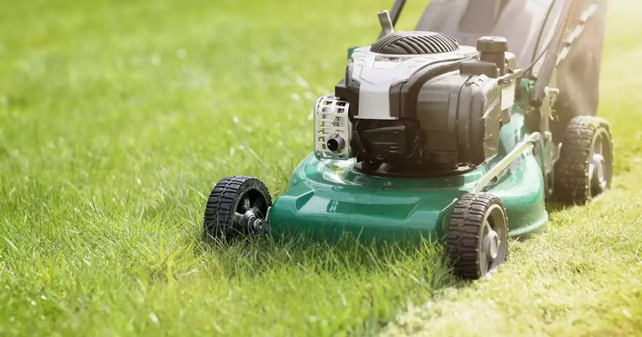 Gardening expert shares perfect date to start cutting your grass after winter