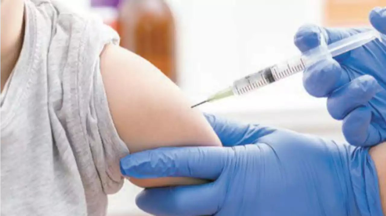 첫 경험 전에 맞아야 좋은 HPV 백신…남자도 꼭 맞아야 하는 이유 | 중앙일보