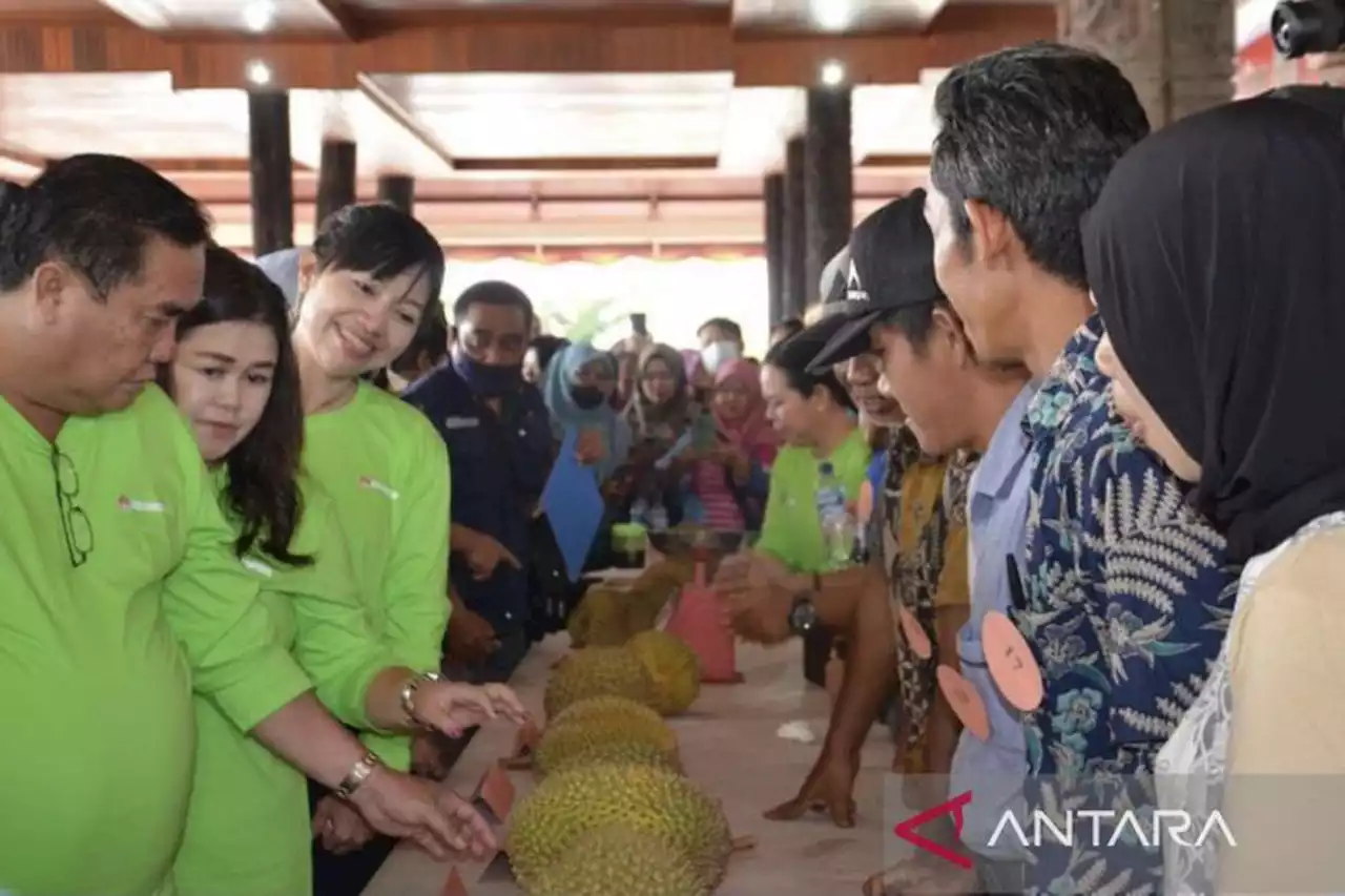 Gaet Wisatawan, Dispar Kubar Gelar Festival Durian Sendawar