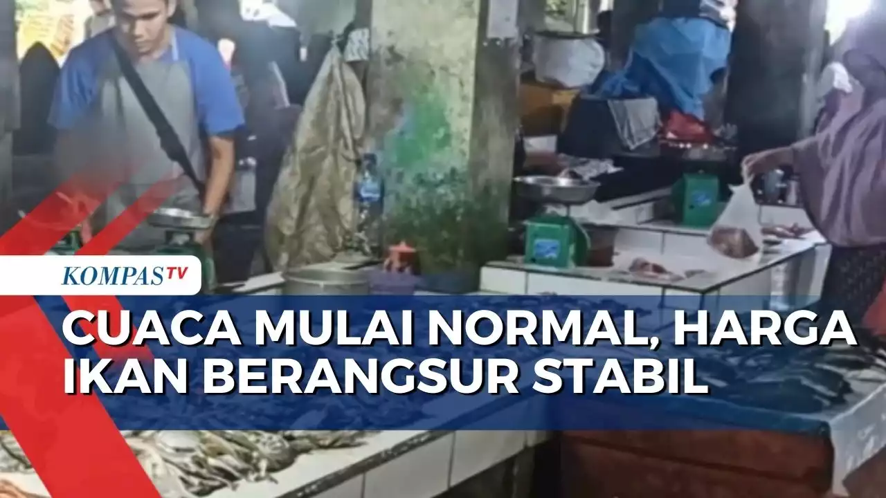 Cuaca Mulai Normal, Harga Ikan di Bangka Belitung Berangsur Stabil