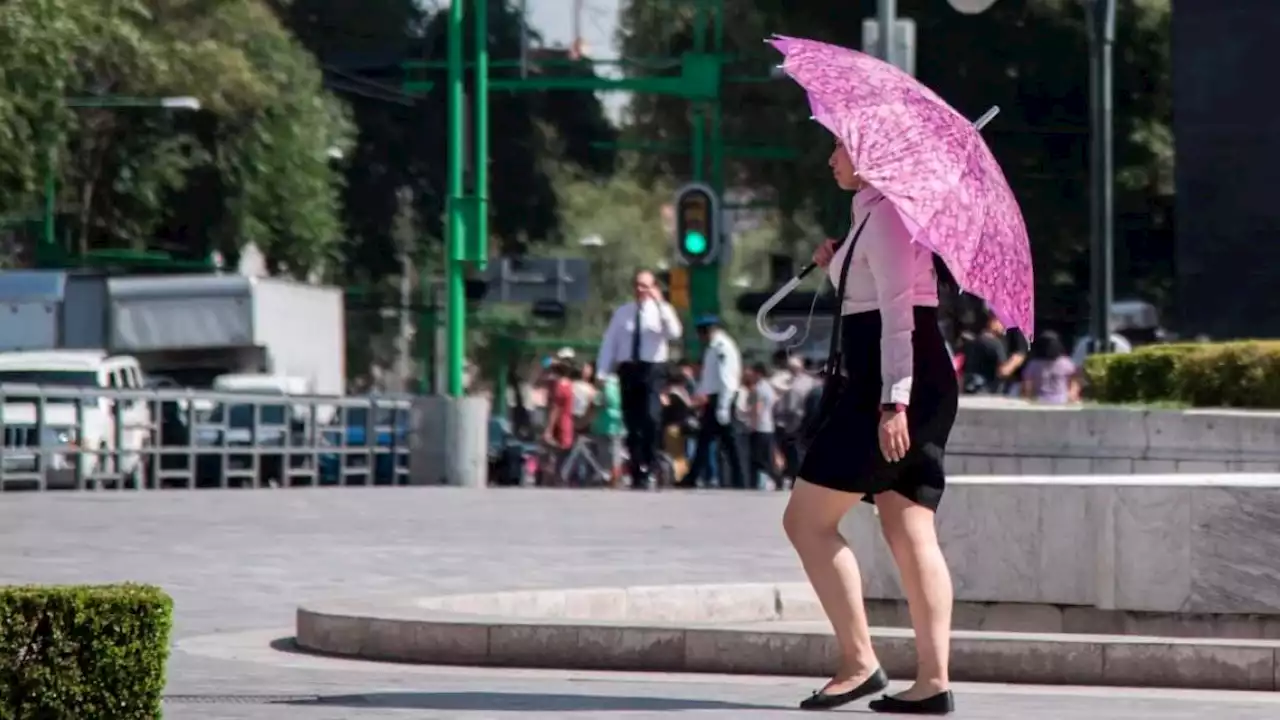 El clima de la CDMX de este domingo 12 de febrero será caluroso con cielo despejado