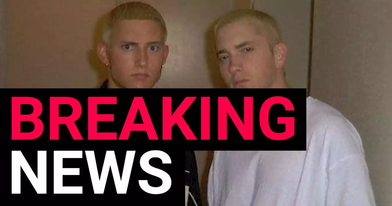 Eminem's stunt double Ryan Shepard dies aged 40 after being hit by car