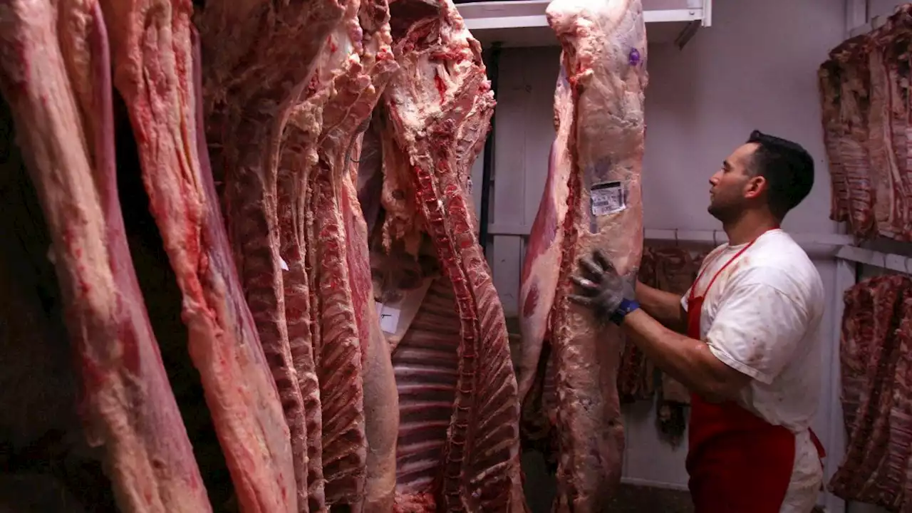 Detectan maniobras de subfacturación en exportaciones de carne por una fortuna