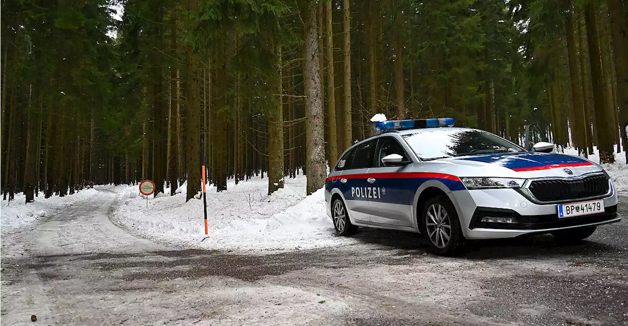 19-Jährige mit Schneestange erschlagen: 18-Jähriger gestand Tat