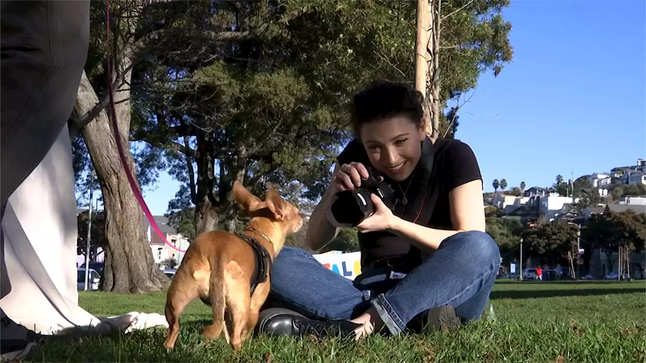 A Gift To Dog Owners: San Francisco Photographer Sets Up Free Portrait Studio In Neighborhood Park