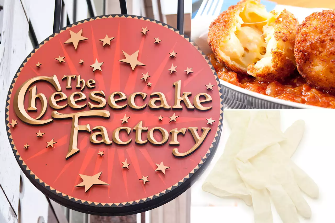 Cheesecake Factory diner claims her boyfriend found a rubber glove in his meal