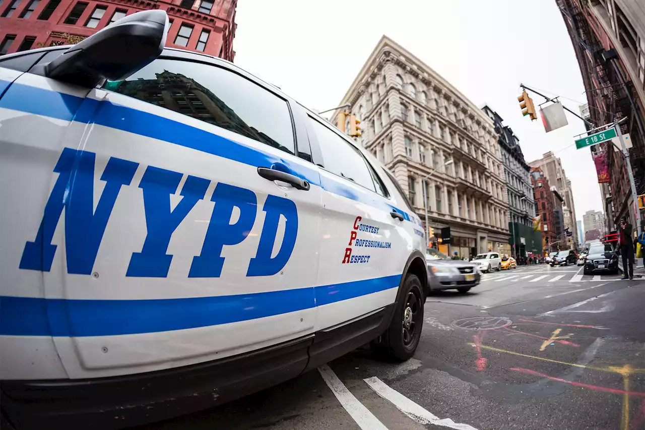 NYC man arrested for shoplifting dies in custody: NYPD